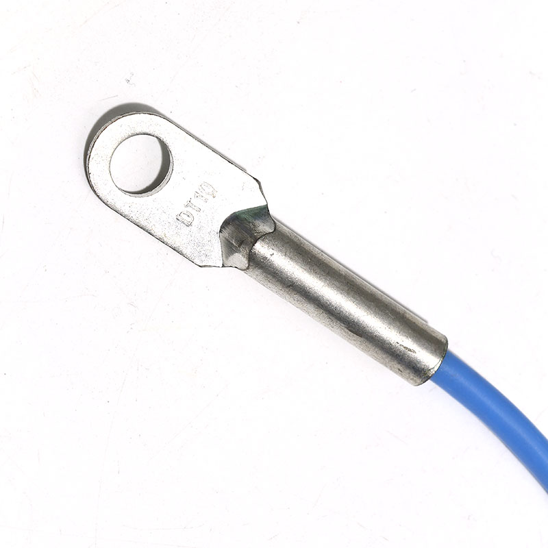 Ds18B20 - DS18B20 Speziell für Oberflächentemperatursensorsonde, 8 mm